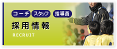 採用情報