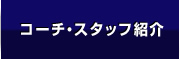 コーチ・スタッフ紹介